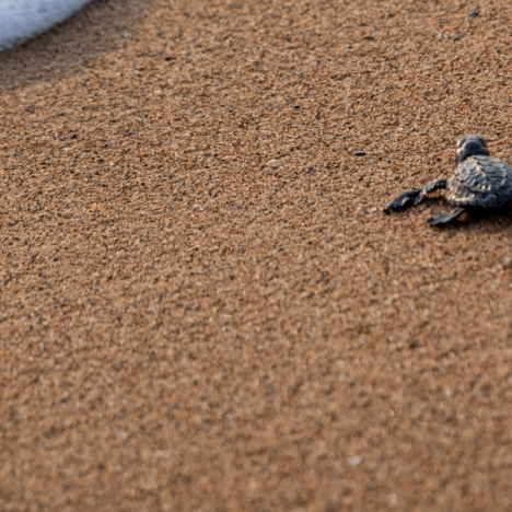 Lessons learned from laundry